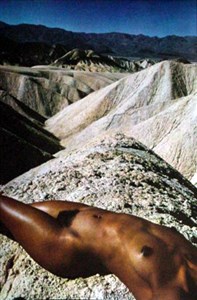 Image description is not available for 2010.081